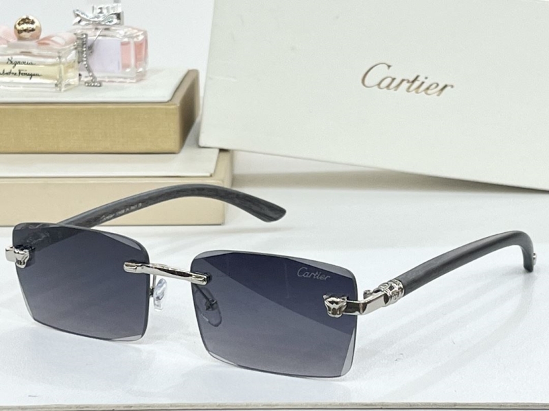 Cartier Sunglasses